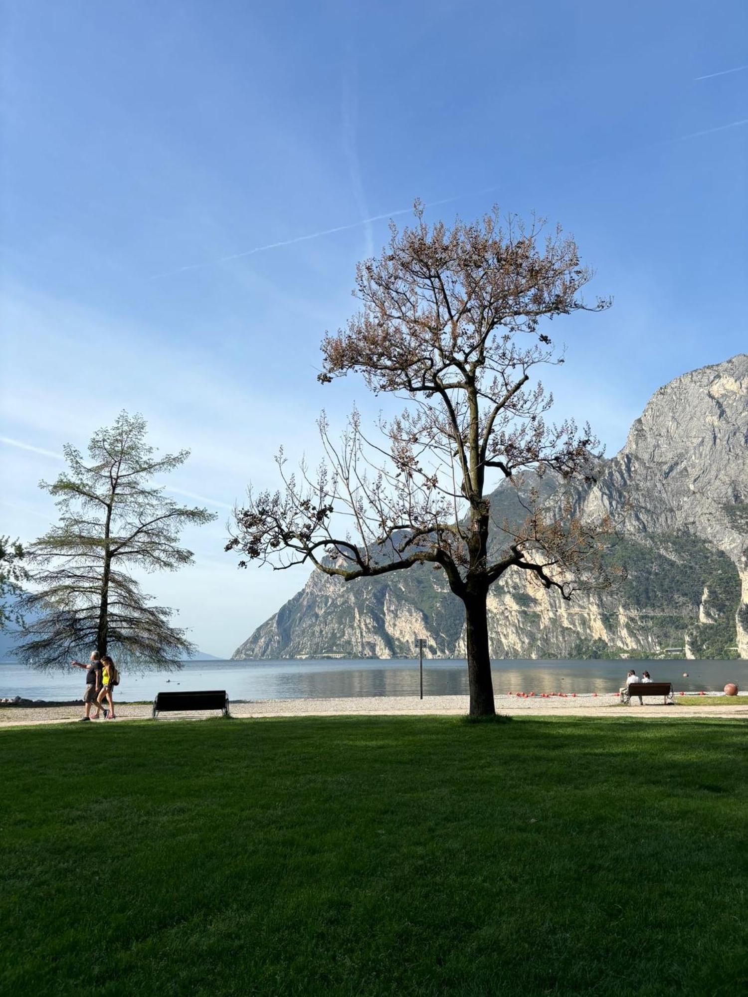 Garden & Pool Perugini Lejlighed Torbole Sul Garda Eksteriør billede